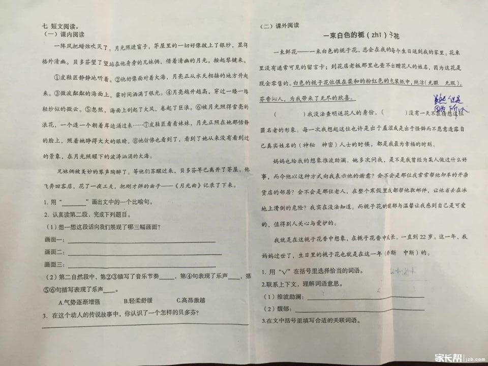 2016济南胜利大街小学六年级语文上册期末考试试卷2