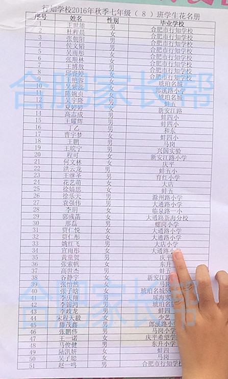 2016年合肥行知学校新初一分班名单16