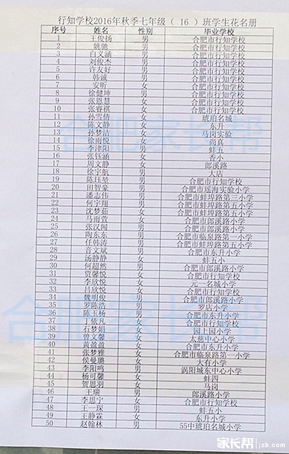 2016年合肥行知学校新初一分班名单19