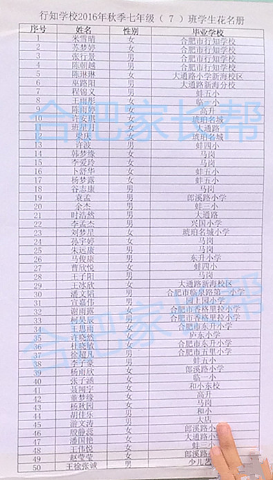 2016年合肥行知学校新初一分班名单15