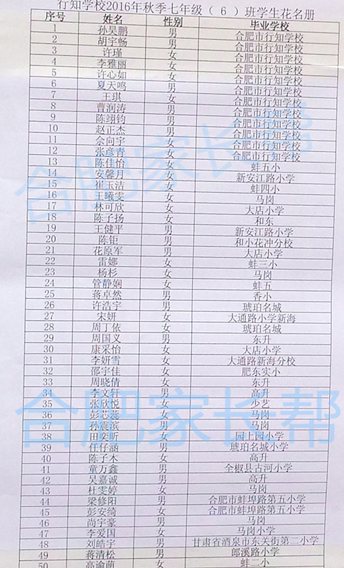 2016年合肥行知学校新初一分班名单14