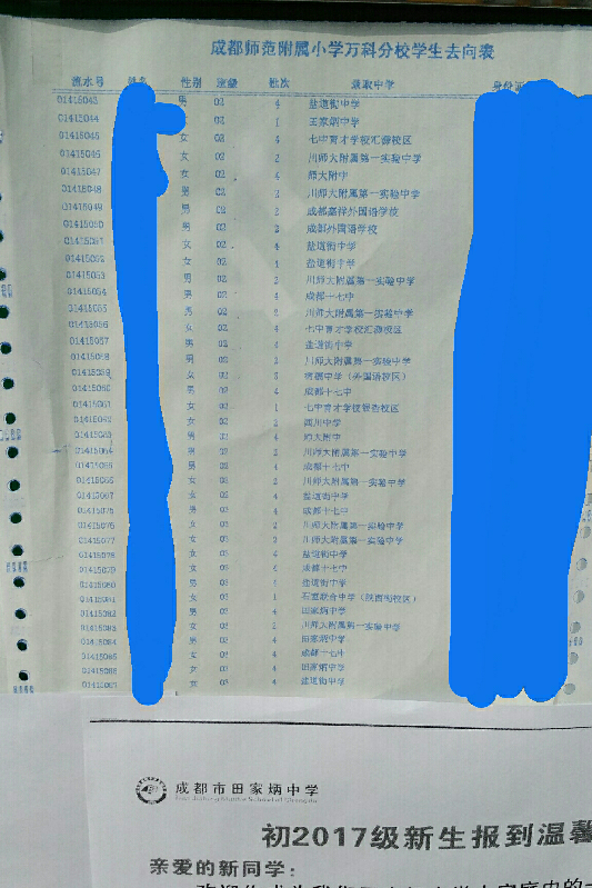 2017年成师附小万科分校随机派位去向名单1